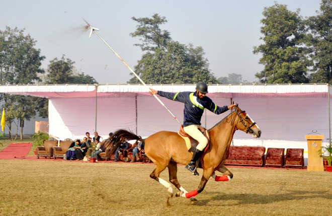 Horse and rider during riding practice